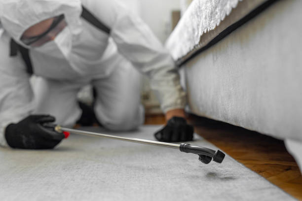 Professional Termite Control technician working in Elm City, NC