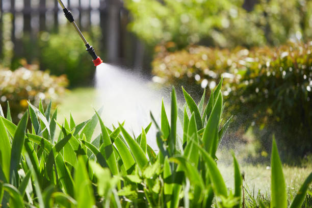 24/7 Emergency Termite Control experts in Elm City, NC