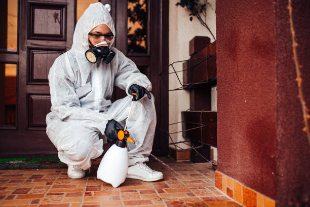 Reliable Termite Control contractor in Elm City, NC by Nex Pest Control