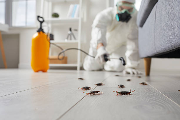 Trusted Rodent Control service in Elm City, NC - Nex Pest Control