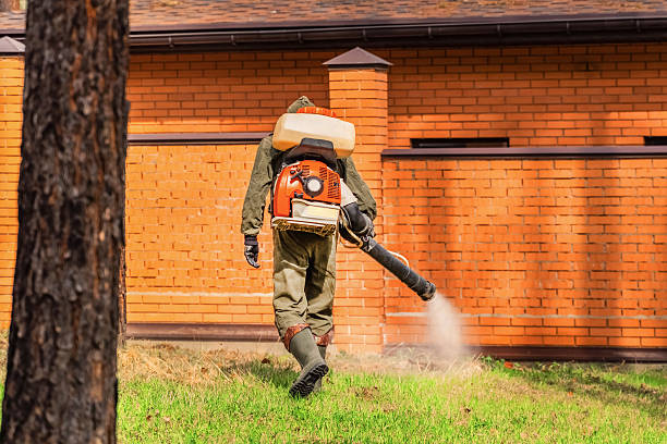 Trusted Termite Control service in Elm City, NC - Nex Pest Control